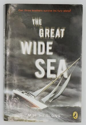 The Great Wide Sea