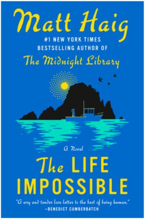 The Life Impossible: a novel